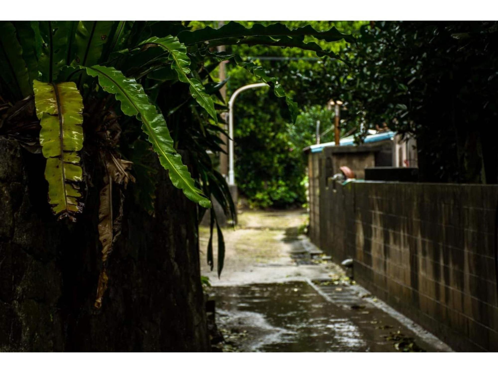 Homestay Kucha - Vacation Stay 17857V Zamami Exterior photo